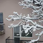 три горішки Apartamento *