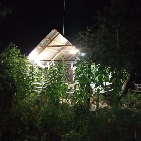 три горішки Yaremche