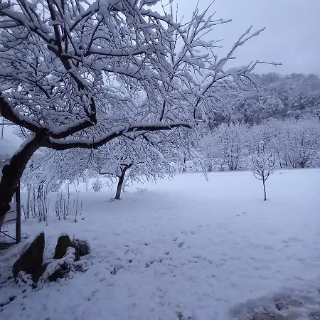 три горішки アパート *