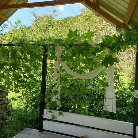 Lejlighed три горішки *