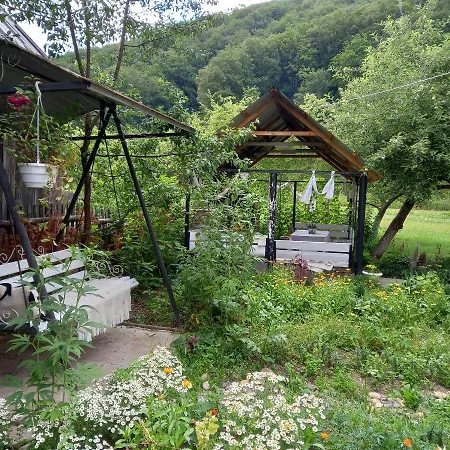 три горішки Lejlighed