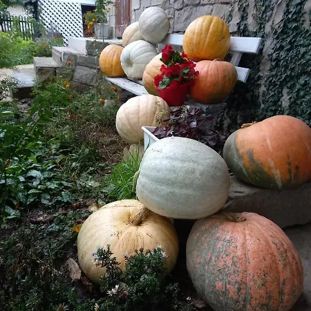 три горішки Apartment