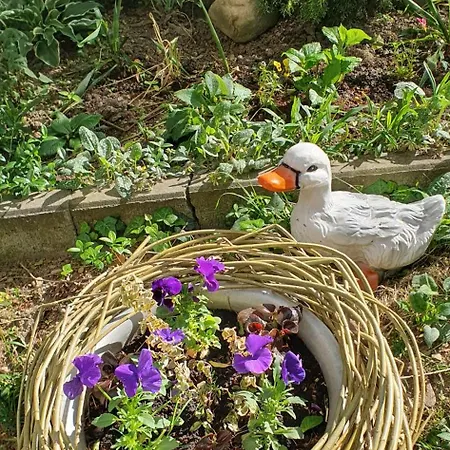 три горішки