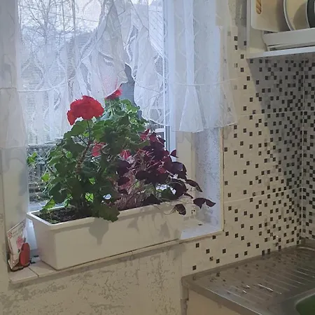 три горішки Apartment Jaremtsche