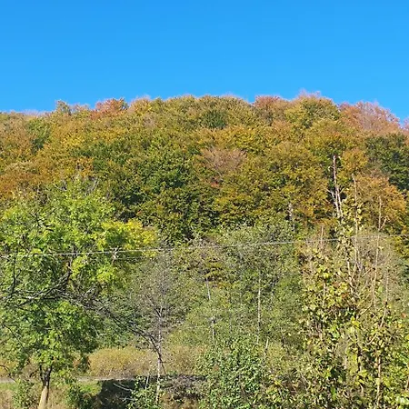 три горішки *