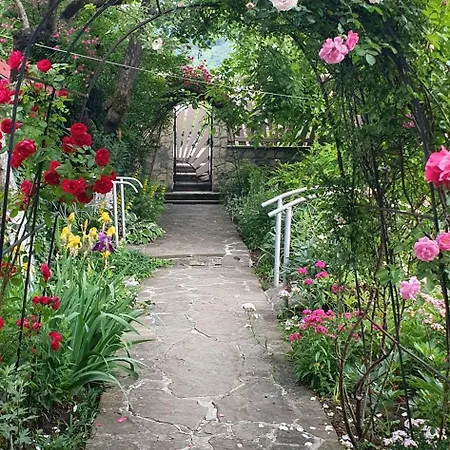 три горішки Apartment