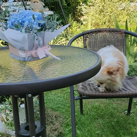 три горішки Apartment *