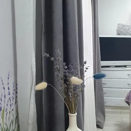 Apartament три горішки Jaremcze