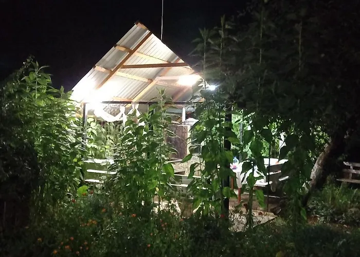 три горішки 亚列姆切
