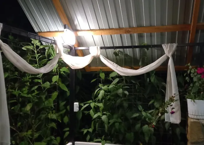 Apartment три горішки Yaremche