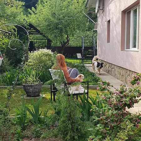Apartment три горішки